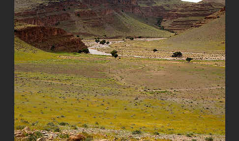 Marokko (Morocco)