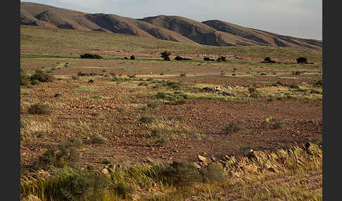 Marokko (Morocco)