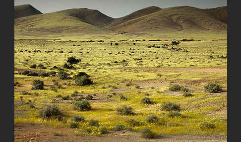 Marokko (Morocco)