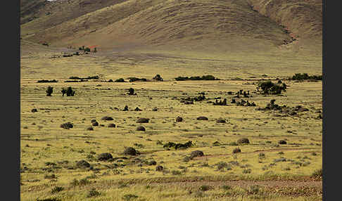 Marokko (Morocco)