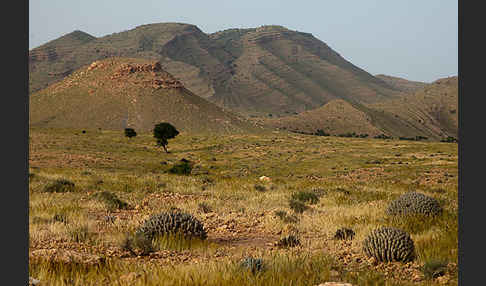 Marokko (Morocco)