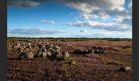 Schweden (Sweden)