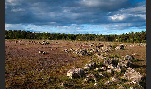 Schweden (Sweden)