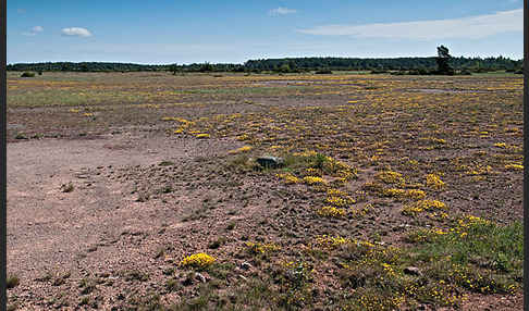 Schweden (Sweden)