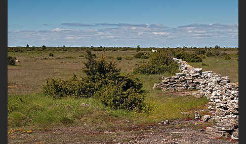 Schweden (Sweden)