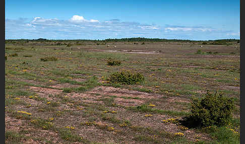 Schweden (Sweden)