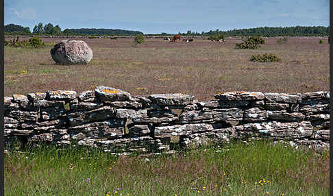 Schweden (Sweden)