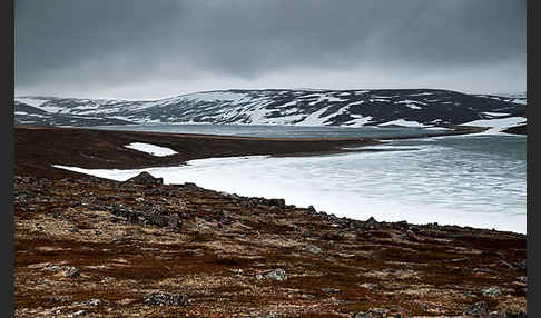 Norwegen (Norway)