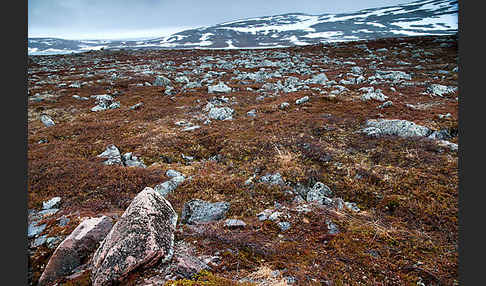 Norwegen (Norway)