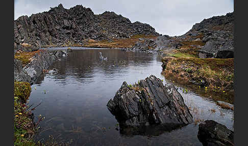 Norwegen (Norway)