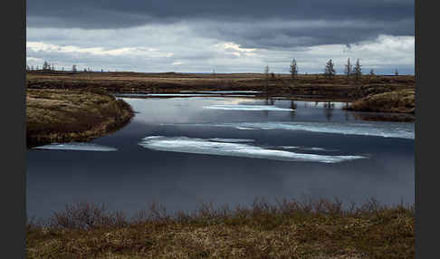 Russland (Russia)