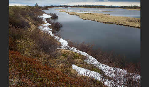 Russland (Russia)