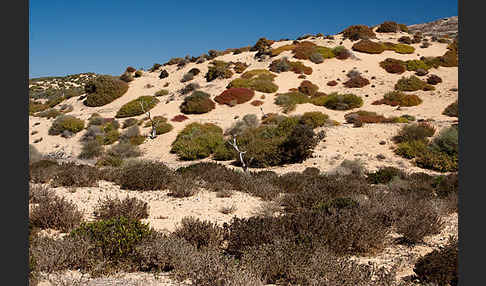 Marokko (Morocco)