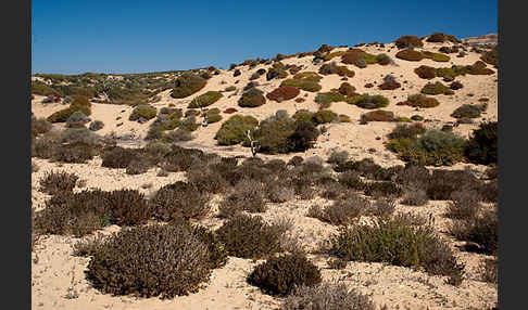 Marokko (Morocco)