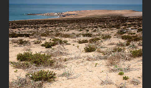 Marokko (Morocco)