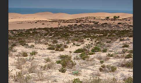 Marokko (Morocco)