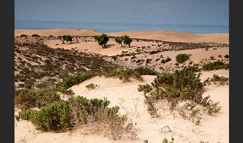 Marokko (Morocco)