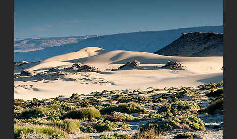 Marokko (Morocco)