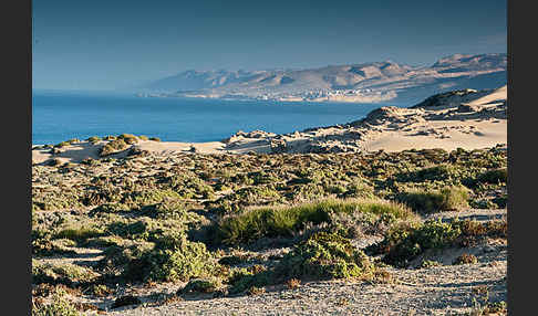 Marokko (Morocco)