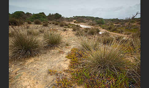 Marokko (Morocco)