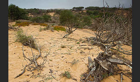 Marokko (Morocco)