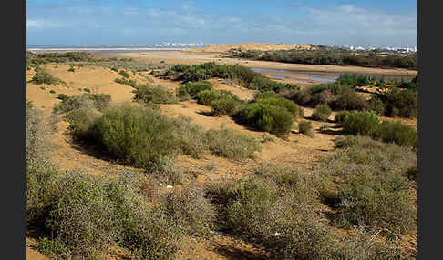 Marokko (Morocco)