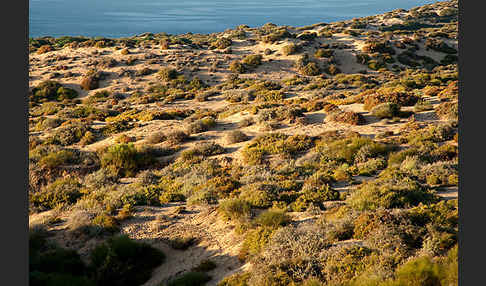 Marokko (Morocco)