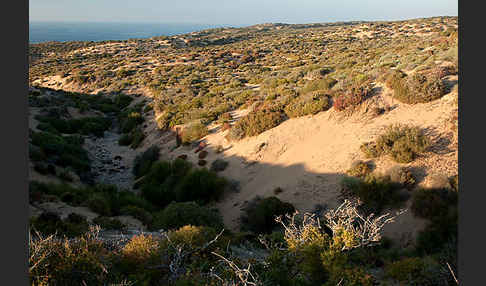 Marokko (Morocco)