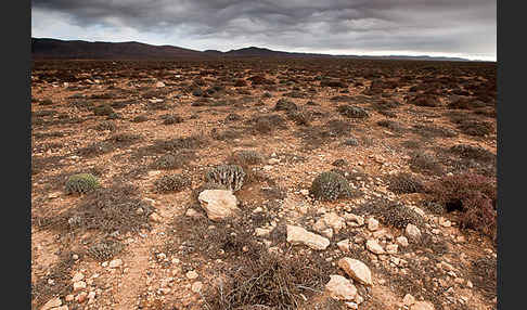 Marokko (Morocco)