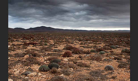 Marokko (Morocco)