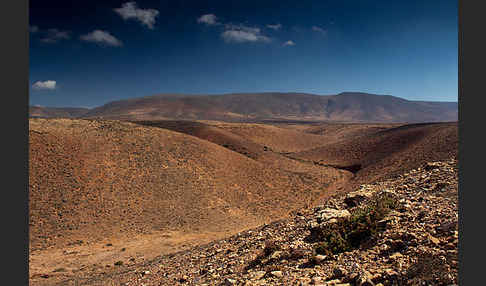 Marokko (Morocco)