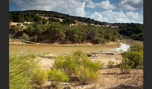 Marokko (Morocco)