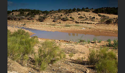 Marokko (Morocco)