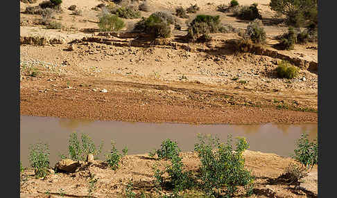 Marokko (Morocco)