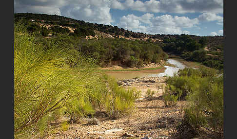 Marokko (Morocco)