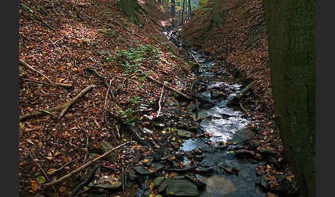 Thüringen (Thuringia)