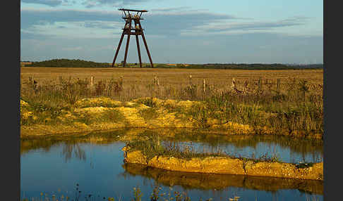 Thüringen (Thuringia)