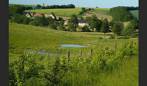 Thüringen (Thuringia)