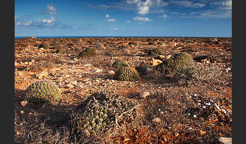 Marokko (Morocco)