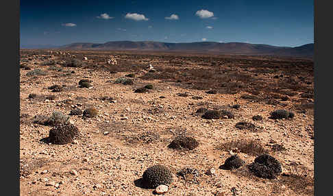 Marokko (Morocco)