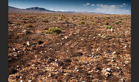 Marokko (Morocco)