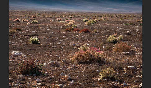 Marokko (Morocco)