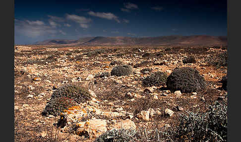 Marokko (Morocco)