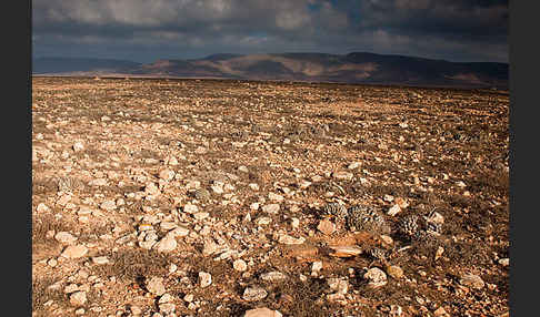 Marokko (Morocco)