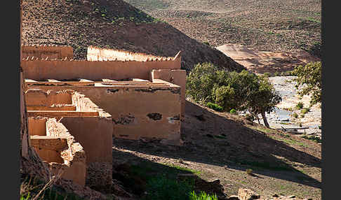 Marokko (Morocco)