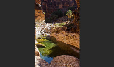 Marokko (Morocco)