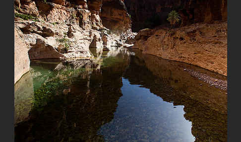 Marokko (Morocco)