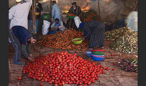 Marokko (Morocco)