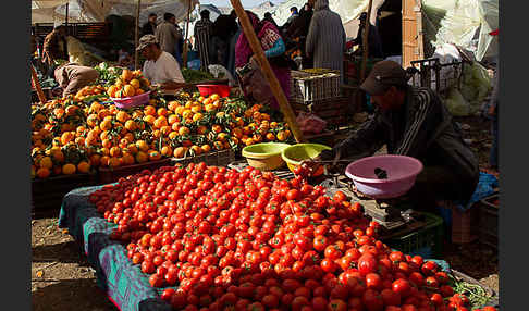 Marokko (Morocco)