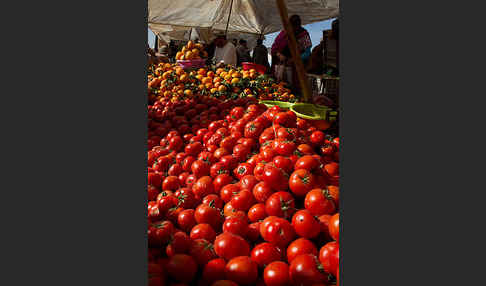 Marokko (Morocco)